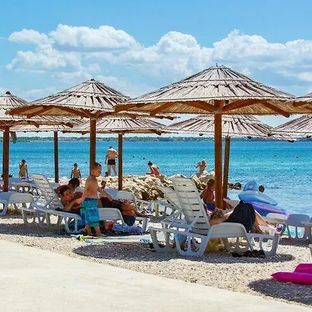 On Island Near Sandy Beaches Vir